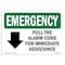 Signmission OSHA Emergency Sign, 7" Height, Rigid Plastic, Pull Alarm Cord For Immediate With Symbol, Landscape OS-EM-P-710-L-10416 - alternate 1